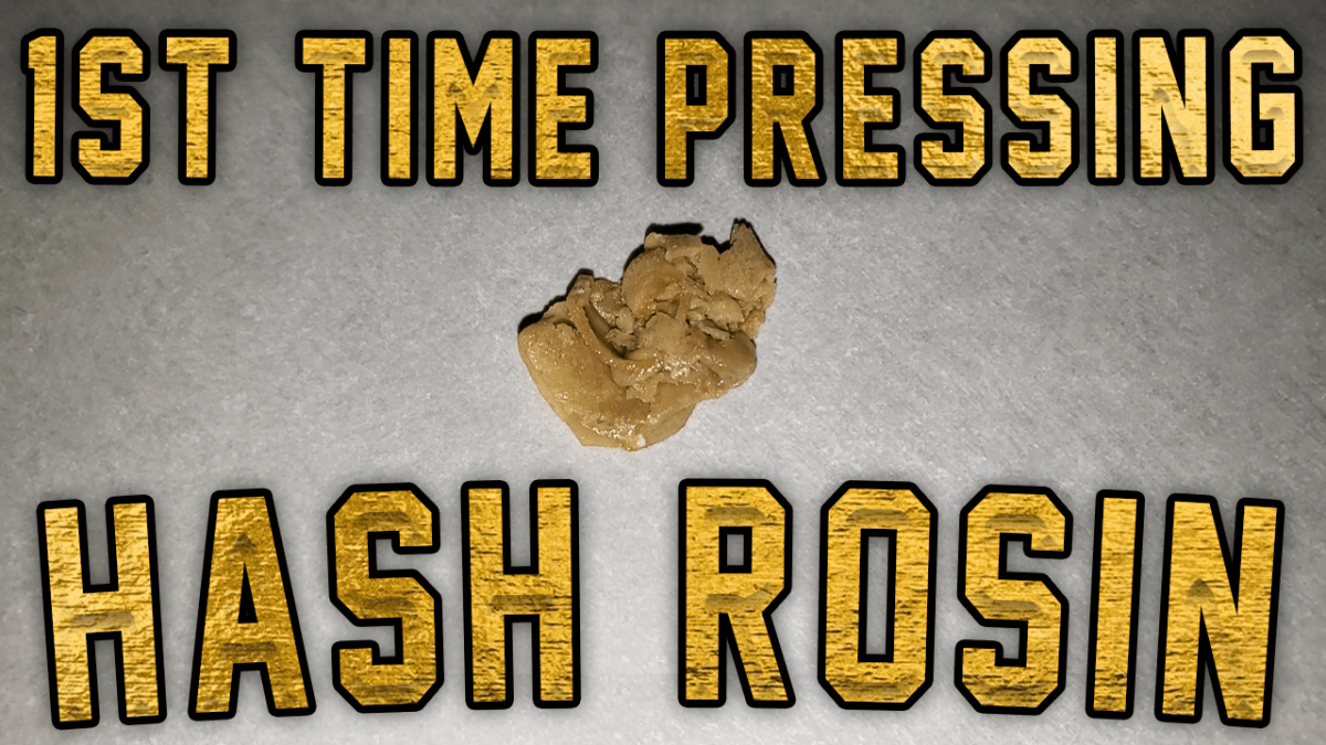 1st Time Pressing Hash&nbsp;Rosin
