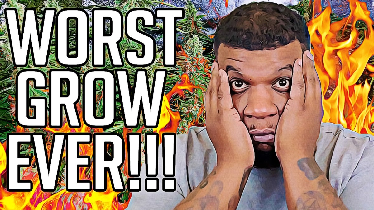 MY WORST GROW EVER!! – The Infinity Grow: S1 EP6 (Season&nbsp;Finale)